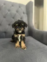 processed/aa305656-bae8-4780-ba11-423e6c943b5b/listing/e7d425fb-bfe7-4fae-ac7b-4179f9cb87ec/4ca42461-b415-4163-8fd1-0593e71e12c2