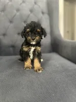 processed/aa305656-bae8-4780-ba11-423e6c943b5b/listing/e7d425fb-bfe7-4fae-ac7b-4179f9cb87ec/8a130080-e5f1-416f-a40b-0fa45a9bd200