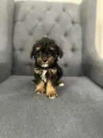 processed/aa305656-bae8-4780-ba11-423e6c943b5b/listing/e7d425fb-bfe7-4fae-ac7b-4179f9cb87ec/fd3350da-0c0a-49dd-8e98-68bcf00b8d5b