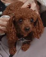 processed/aa317f70-d858-4d4a-8a3b-e15c45b7674c/facility/5c3fc126-df8c-4615-83a4-b7bce60fa851