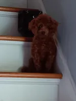 processed/aa317f70-d858-4d4a-8a3b-e15c45b7674c/facility/a7715e8f-401e-4625-95c9-2adf91b586d1