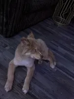 processed/aa3270ef-757f-4c1f-9d41-5e33cf113cbb/listing/2b2dd3f7-c164-4ede-874e-568a2e05ed94/253b9c30-fef8-4034-bb6f-4323c2aab818