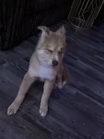 processed/aa3270ef-757f-4c1f-9d41-5e33cf113cbb/listing/2b2dd3f7-c164-4ede-874e-568a2e05ed94/573a76a6-bc1d-42d7-adaf-1b61e0949aef