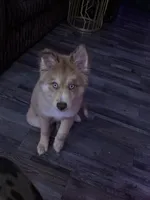 processed/aa3270ef-757f-4c1f-9d41-5e33cf113cbb/listing/2b2dd3f7-c164-4ede-874e-568a2e05ed94/cc222ff3-24ed-403f-9cf1-4df07a78e5b7