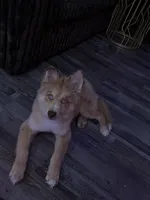 processed/aa3270ef-757f-4c1f-9d41-5e33cf113cbb/listing/2b2dd3f7-c164-4ede-874e-568a2e05ed94/f6fd506b-363e-4580-9004-9d2e686aef8f