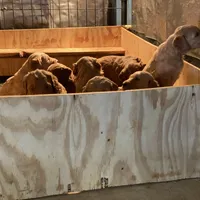 processed/aa33dd7d-4433-4ff3-aada-52d2e1011883/facility/8a576dba-55ee-4fdb-94e0-dfd6092e9363