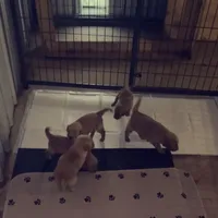 processed/aa33dd7d-4433-4ff3-aada-52d2e1011883/facility/f3b46628-d557-4904-8baf-c0404810c22c