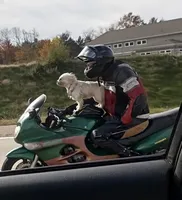 processed/aa3a3d61-2546-4d25-9cca-b89eb82ee7bb/facility/4cc6f510-5ac6-49f0-b032-205765ce1bae