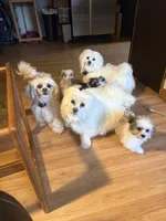 processed/aa3a3d61-2546-4d25-9cca-b89eb82ee7bb/facility/4dd62714-44f5-43fb-9194-364371b2bacf