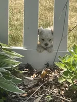 processed/aa3a3d61-2546-4d25-9cca-b89eb82ee7bb/facility/941add0e-45be-4fe3-90b5-5bacd2e22738