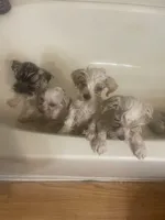 processed/aa3a3d61-2546-4d25-9cca-b89eb82ee7bb/facility/ea4ac6af-7469-41d6-bf64-04b0998cddd8