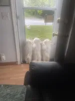 processed/aa3a3d61-2546-4d25-9cca-b89eb82ee7bb/facility/ff5e04be-6f53-469c-bfe7-7b7984f4aeec