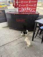 priness, a  Lhasa Apso and Shih Tzu for sale in Wyoming, MI – Photo 7 of 10