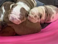 processed/aa44eeab-c3fb-47ec-803b-fb5094d008e1/facility/8ffcde1b-5cd4-4cad-8b27-b26432b7dde1