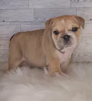 processed/aa4c3315-d498-42e4-af48-a5f245470419/listing/d1d8a5c7-ea1e-403f-8b1f-682336fa987a/41bb4577-d79f-4660-a491-b2c9d074c632