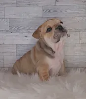 processed/aa4c3315-d498-42e4-af48-a5f245470419/listing/d1d8a5c7-ea1e-403f-8b1f-682336fa987a/dcf8b521-df1c-41ac-bb7c-9f469280f2a6