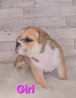 processed/aa4c3315-d498-42e4-af48-a5f245470419/listing/d1d8a5c7-ea1e-403f-8b1f-682336fa987a/f8f656e3-d6e2-4d05-9b27-488fe83709ad