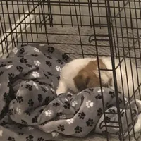 processed/aa5c4490-da68-4ef8-8eee-9ead9146c730/facility/1e62c08d-8176-4541-bfb7-7c4bc331c51d