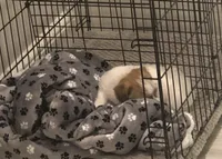 processed/aa5c4490-da68-4ef8-8eee-9ead9146c730/facility/1e62c08d-8176-4541-bfb7-7c4bc331c51d