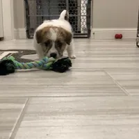 processed/aa5c4490-da68-4ef8-8eee-9ead9146c730/facility/65e96825-549f-4744-97e1-2ea765658ba2