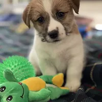 processed/aa5c4490-da68-4ef8-8eee-9ead9146c730/facility/7ac3a82e-2ed2-4926-9d80-d56de969db0c