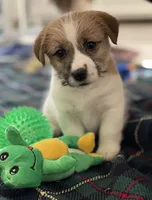 processed/aa5c4490-da68-4ef8-8eee-9ead9146c730/facility/7ac3a82e-2ed2-4926-9d80-d56de969db0c