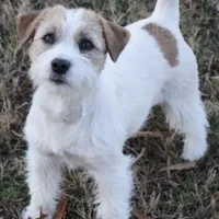 processed/aa5c4490-da68-4ef8-8eee-9ead9146c730/facility/f1fdbf09-0593-4d18-8690-4585d189ee48