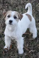 processed/aa5c4490-da68-4ef8-8eee-9ead9146c730/facility/f1fdbf09-0593-4d18-8690-4585d189ee48