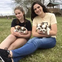 processed/aa5c4490-da68-4ef8-8eee-9ead9146c730/facility/fbe5de32-255a-4dd8-834c-0045fc7e0263