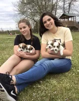 processed/aa5c4490-da68-4ef8-8eee-9ead9146c730/facility/fbe5de32-255a-4dd8-834c-0045fc7e0263