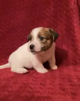 processed/aa5c4490-da68-4ef8-8eee-9ead9146c730/listing/136dd15c-f43f-49a5-9c2c-e55fa6e79134/24f444dd-70bc-446e-a38a-c0165e801f09