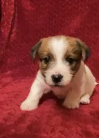 processed/aa5c4490-da68-4ef8-8eee-9ead9146c730/listing/136dd15c-f43f-49a5-9c2c-e55fa6e79134/53b71b8c-5652-42bb-9022-1744a6fa69d2