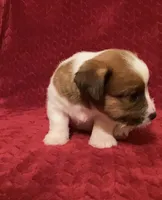 processed/aa5c4490-da68-4ef8-8eee-9ead9146c730/listing/136dd15c-f43f-49a5-9c2c-e55fa6e79134/6a672182-b2f2-43c6-8854-55a87223e774