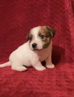 processed/aa5c4490-da68-4ef8-8eee-9ead9146c730/listing/136dd15c-f43f-49a5-9c2c-e55fa6e79134/6aa63af7-1480-4c1c-bbbb-e35a8f13457f