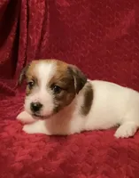 processed/aa5c4490-da68-4ef8-8eee-9ead9146c730/listing/136dd15c-f43f-49a5-9c2c-e55fa6e79134/86c64cd5-a384-4960-8ad9-6b358bc90222