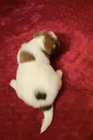 processed/aa5c4490-da68-4ef8-8eee-9ead9146c730/listing/136dd15c-f43f-49a5-9c2c-e55fa6e79134/aa316483-75ba-423e-94af-3662521230ef