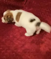 processed/aa5c4490-da68-4ef8-8eee-9ead9146c730/listing/136dd15c-f43f-49a5-9c2c-e55fa6e79134/b8fd1305-ae1a-4954-9291-2e7a02ba9f6d