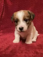 processed/aa5c4490-da68-4ef8-8eee-9ead9146c730/listing/136dd15c-f43f-49a5-9c2c-e55fa6e79134/c314e0d9-5568-485a-8d00-8554d687fff3