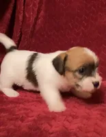 processed/aa5c4490-da68-4ef8-8eee-9ead9146c730/listing/358efb5e-0ab1-4ac1-8e2a-a760dd1f0c7e/229d7052-7491-4203-9bd7-e5a848ca31a4