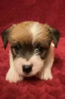 processed/aa5c4490-da68-4ef8-8eee-9ead9146c730/listing/358efb5e-0ab1-4ac1-8e2a-a760dd1f0c7e/d0c3bbd6-4808-4687-99b4-771086c4d7fc