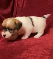 processed/aa5c4490-da68-4ef8-8eee-9ead9146c730/listing/358efb5e-0ab1-4ac1-8e2a-a760dd1f0c7e/dad37833-9dce-45af-bbce-ac12810041a7