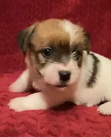 processed/aa5c4490-da68-4ef8-8eee-9ead9146c730/listing/358efb5e-0ab1-4ac1-8e2a-a760dd1f0c7e/e6bdb47a-7bea-4940-900e-796c5bc12c3e