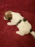 processed/aa5c4490-da68-4ef8-8eee-9ead9146c730/listing/358efb5e-0ab1-4ac1-8e2a-a760dd1f0c7e/f45989fb-3ea1-4bfc-a88f-27f53b9742da