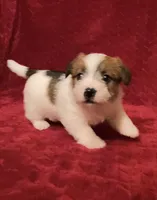 processed/aa5c4490-da68-4ef8-8eee-9ead9146c730/listing/450348fc-f96b-4f00-b685-43235642c03d/7a593f20-b1b6-491b-8565-cb6403cca83a