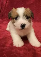 processed/aa5c4490-da68-4ef8-8eee-9ead9146c730/listing/450348fc-f96b-4f00-b685-43235642c03d/a838932e-ffcf-4fe9-a7e7-be83f69368f4