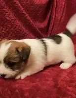 processed/aa5c4490-da68-4ef8-8eee-9ead9146c730/listing/450348fc-f96b-4f00-b685-43235642c03d/b47dc22c-89e7-4175-8049-5f7b9ec94384