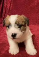 processed/aa5c4490-da68-4ef8-8eee-9ead9146c730/listing/450348fc-f96b-4f00-b685-43235642c03d/bc682f66-e6f6-4d66-8a64-ad1acdd34ec6