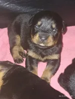 processed/aa622e16-032e-4b69-a389-b2fa3a1d1a1c/listing/0ec16cc0-d0d2-4d67-af8d-0aa8f5d60b03/3816c7f4-1843-4ccd-a0da-675fd27cf229