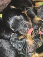 processed/aa622e16-032e-4b69-a389-b2fa3a1d1a1c/listing/0ec16cc0-d0d2-4d67-af8d-0aa8f5d60b03/4d8309bf-f0e3-4c8a-8a4d-bf62db4a231c