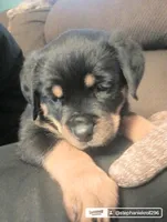 processed/aa622e16-032e-4b69-a389-b2fa3a1d1a1c/listing/0ec16cc0-d0d2-4d67-af8d-0aa8f5d60b03/76bc4ba9-5402-4f3e-be57-f74c43372e1a